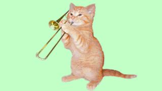 Funny cats 98