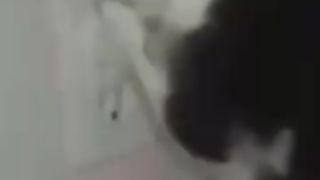 Funny_Animal_Videos_Of_The_Day_0079!_????????????????(360p).