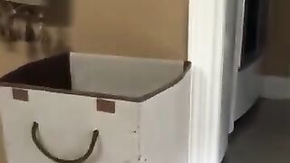 Funny_Animal_Videos_Of_The_Day_0084!_???????? (360p).