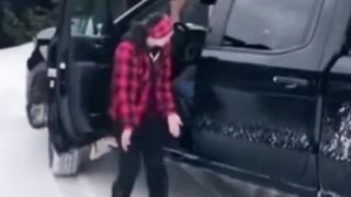 Kelakuan Lucu Para Kucing