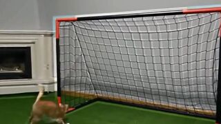 Kapten Oyen Dalam Seputar Sepakbola