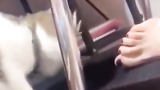 Funny_Animal_Videos_Of_The_Day_107!_????????_#memes_#dankmemes_#coub_#shorts(360p).
