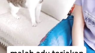 Malahan Adu Teriakan