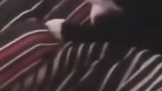Funny_Animal_Videos_Of_The_Day_117!_????????_#memes_#dankmemes_#coub_#shorts(360p).