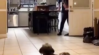 Funny_Animal_Videos_Of_The_Day_119!_????????_#memes_#dankmemes_#coub_#shorts(360p).