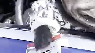 Funny_Animal_Videos_Of_The_Day_120!_????????_#memes_#dankmemes_#coub_#shorts(360p).