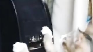 Funny_Animal_Videos_Of_The_Day_121!_????????_#memes_#dankmemes_#coub_#shorts(360p).