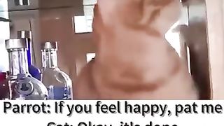 Funny_Animal_Videos_Of_The_Day_122!_????????_#memes_#dankmemes_#coub_#shorts(360p).