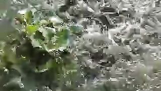 Selepas ganti air kolam, ikan lele makin RAKUS makan