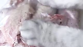 fichier ????Make_Crispy_And_Tender_Fried_Chicken !????❄️___Winter_Snacks_#tiktok_#catsofyoutube(360p).
