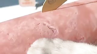 Vous_Must_Try_The_Most_Delicious_Giant_Food !????????__Ham___Milk_tea_#tiktok_#catsofyoutube(360p).