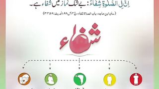 اسلامی معلومات Like share follow 425