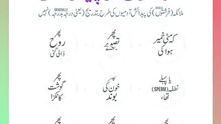 اسلامی معلومات Like share follow 428