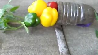 МАЛКА ГРАДИНА 2