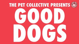 Good Dogs Video Compilation