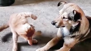 How cute 7
