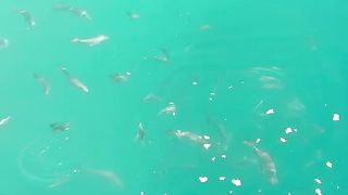 FISHING FISHERMAN