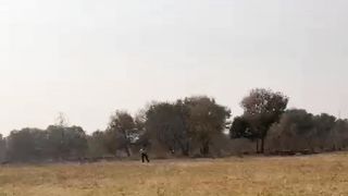 Hmc warrior's cricket ground match highlights