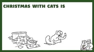 Has this Cat Ruined Christmas__ Caturday Film Club