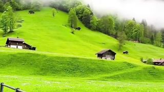 Beauty of nature 58