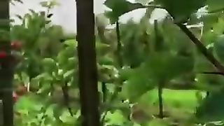 سورت یٰسین کی تلاوت