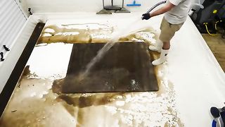 This Is Not A Brown Rug ☝ Satisfying Time Lapse Carpet Cleaning 2
