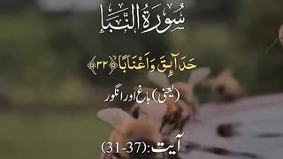 Suray Alambia