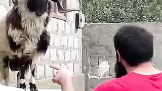 Who is the Master in the House?