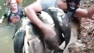 Peixe
