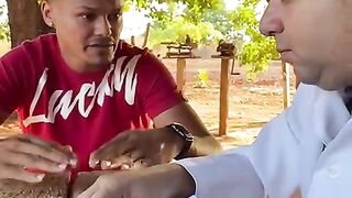 Vídeos engraçados