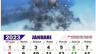 calender digital