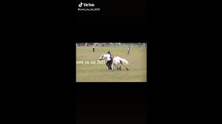 The Best HORSE TikTok Compilation 2023  #Super People Doing Funny Things #tiktoksmasher #tiktok