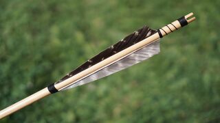 Arrow Challenge| #shorts #tiktoksmasher #viralshorts #tiktok