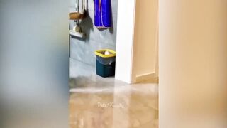 Funniest Animals 2022 ???? Funniest Cats and Dogs ???????? Part 08 | #funnycats