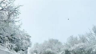 Amazing trip along the snowy road