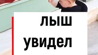 Лиш увидели иконы