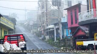 dangerous!! thick fog covers the road, please stop #viral