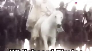 One piece in real life
