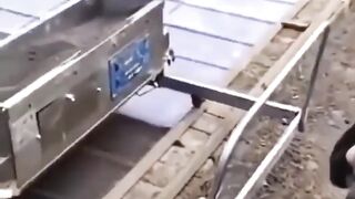 Smart people work very fast