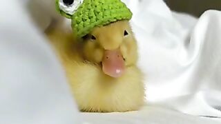 It’s really cute