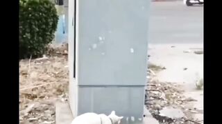 Mau sampai kapan ngejarnya ????????????