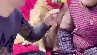 FUNNY VIDEOS ANIMALS