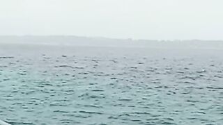 Bridgesea