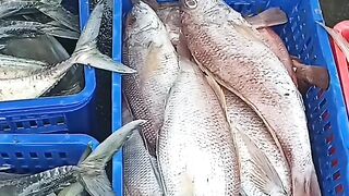 Fish and Fresh