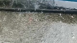 Rainpip