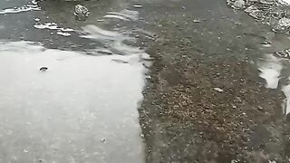 Rain Ice