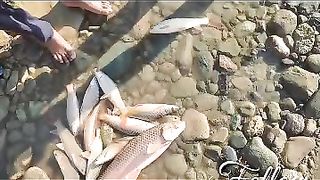 Fish fry 6
