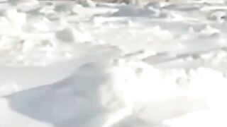 Icebreaker Ship in North Pole.