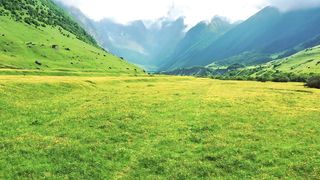 Beautiful views For You (6)