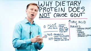 Why Does Dietary Protein NOT Cause Gout? – Dr.Berg
